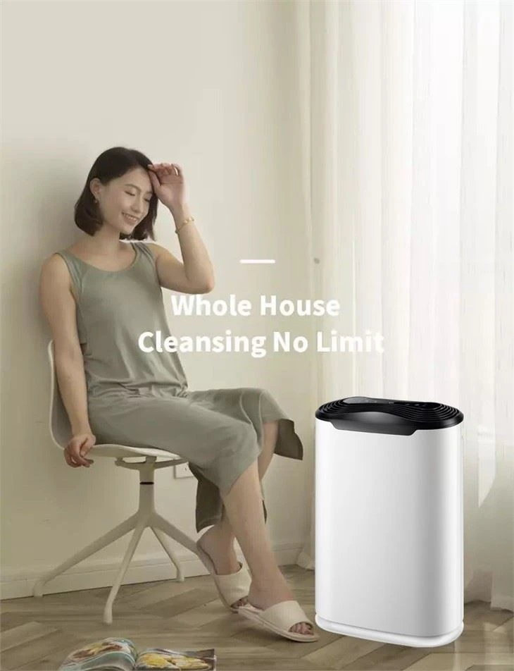BKJ-215C Dust Air Sensor Air Purifier For Cleaning