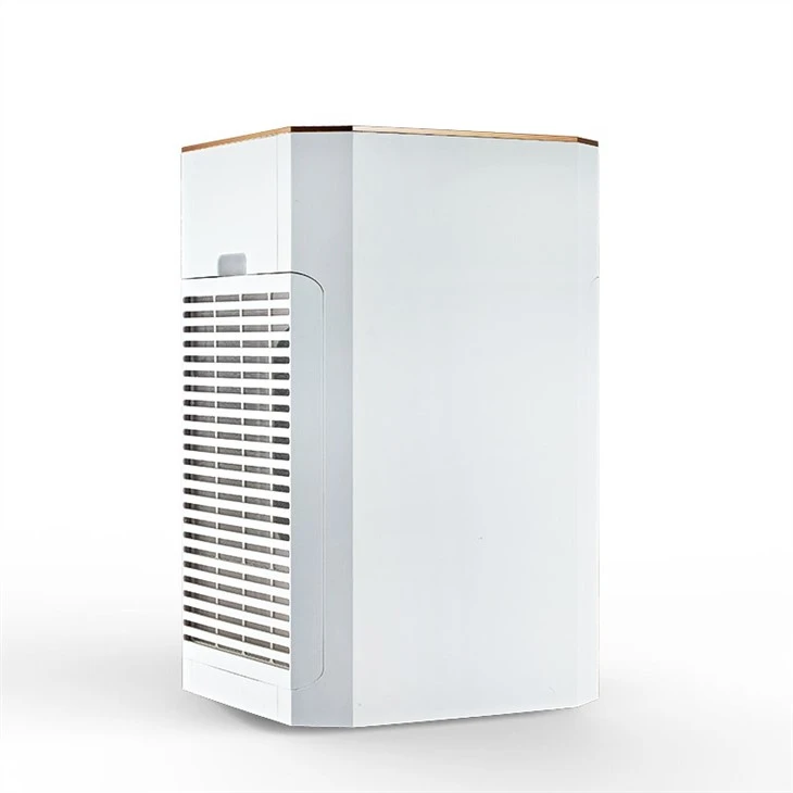 BKJ-80B Commerical Large Air Purifier